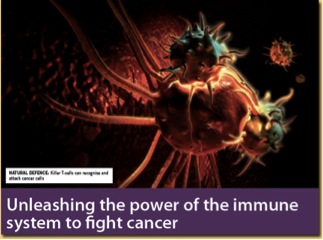 Active Immunotherapy (vaccines)