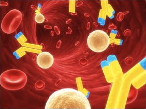 Passive Immunotherapy (Monoclonal Antibodies)